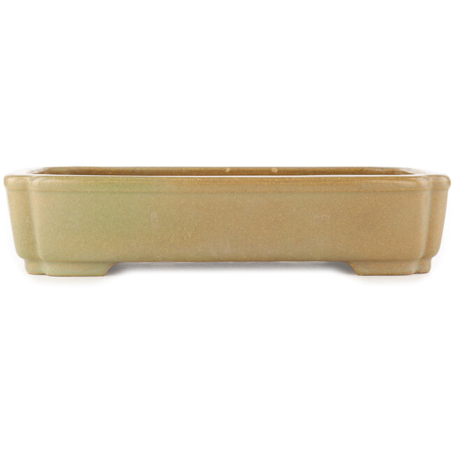 Rechthoekige groene bonsai pot van Hattori - 375 x 280 x 80 mm