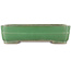 Maceta rectangular verde para bonsái de Yamafusa - 365 x 275 x 90 mm