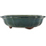 Lotus green bonsai pot by Yamaaki - 330 x 330 x 90 mm