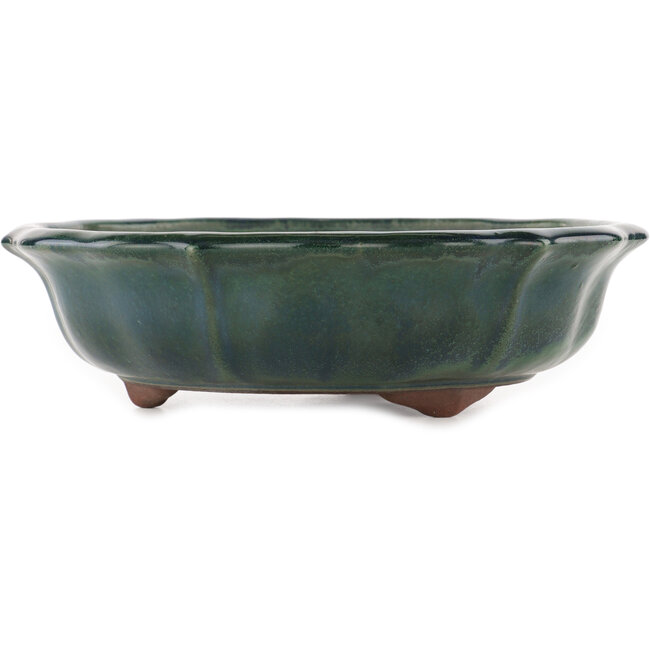 Vaso bonsai verde loto di Yamaaki - 330 x 330 x 90 mm