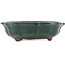 Pot à bonsaï Lotus vert par Yamaaki - 330 x 330 x 90 mm