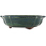 Pot à bonsaï Lotus vert par Yamaaki - 330 x 330 x 90 mm