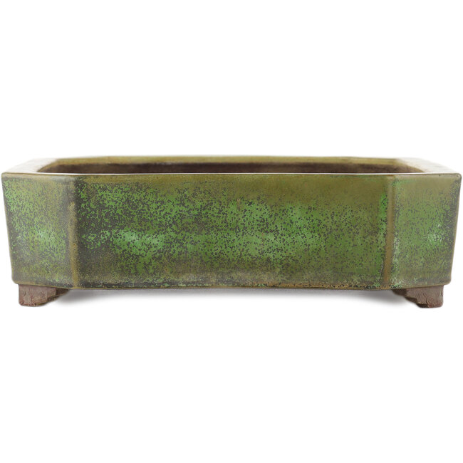 Pot à bonsaï rectangulaire vert de Yamaaki - 410 x 325 x 90 mm