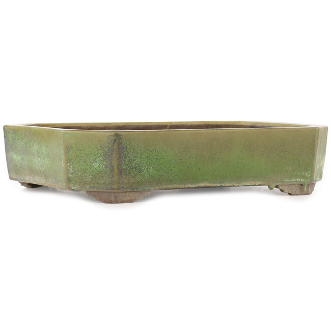 Pot à bonsaï rectangulaire vert de Yamaaki - 410 x 325 x 90 mm