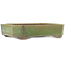 Maceta rectangular verde para bonsái de Yamaaki - 410 x 325 x 90 mm