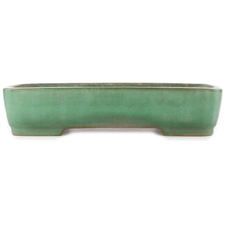 Yamafusa - Takehiko Koie 465 mm rectangular green bonsai pot by Yamafusa, Tokoname, Japan