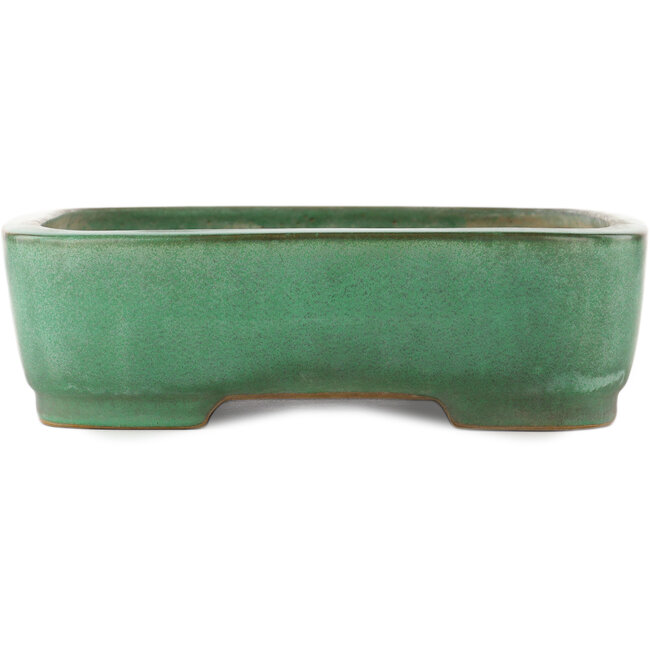 Maceta rectangular verde para bonsái de Yamafusa - 465 x 340 x 90 mm