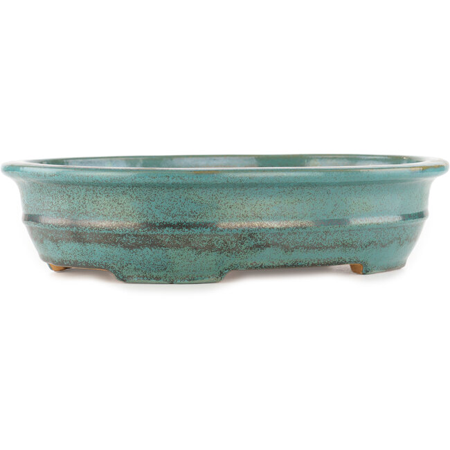 Vaso bonsai ovale turchese di Reiho - 385 x 295 x 80 mm