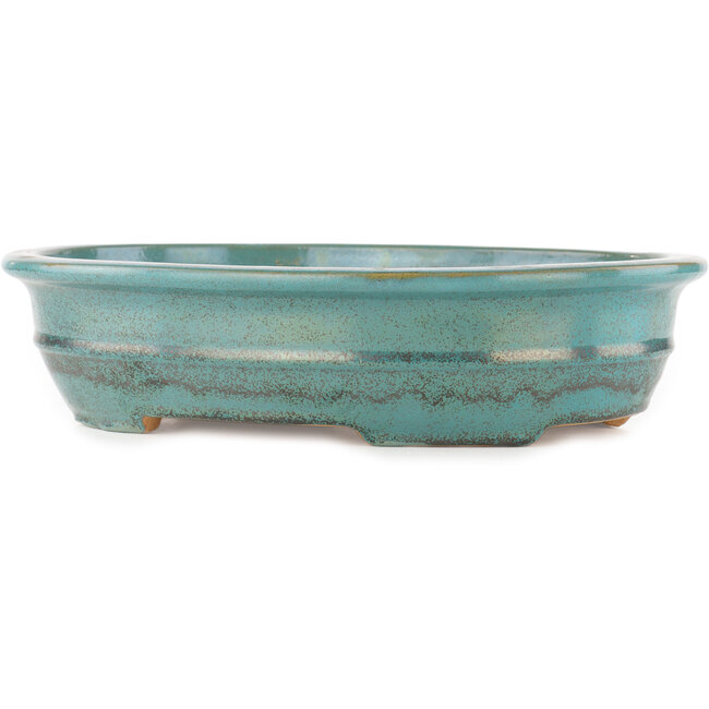 Pot à bonsaï ovale turquoise de Reiho - 385 x 295 x 80 mm