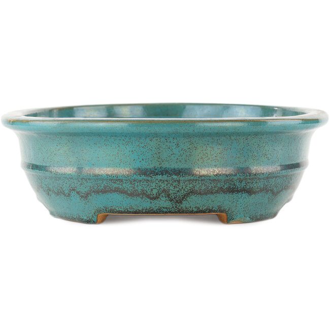 Pot à bonsaï ovale turquoise de Reiho - 385 x 295 x 80 mm