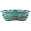 Pot à bonsaï ovale turquoise de Reiho - 385 x 295 x 80 mm