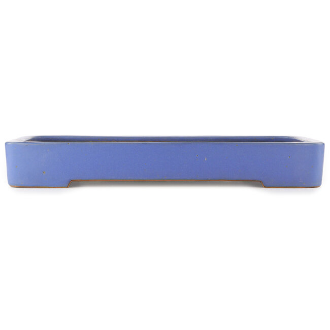 Maceta rectangular azul para bonsái de Reiho - 480 x 315 x 60 mm