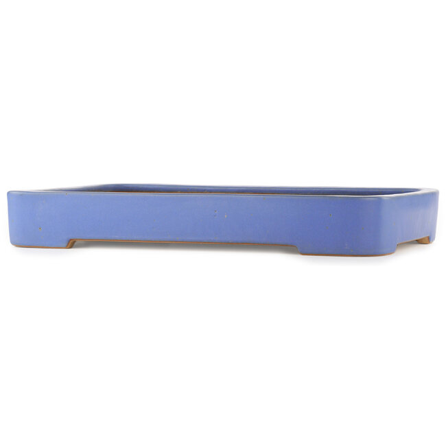 Pot à bonsaï rectangulaire bleu de Reiho - 480 x 315 x 60 mm