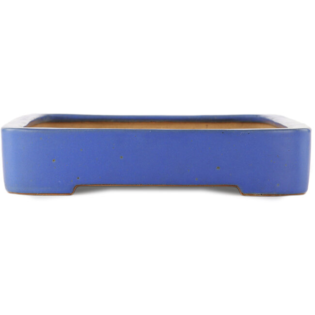 Maceta rectangular azul para bonsái de Reiho - 480 x 315 x 60 mm