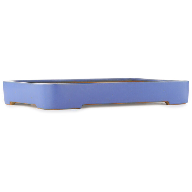 Maceta rectangular azul para bonsái de Reiho - 480 x 315 x 60 mm