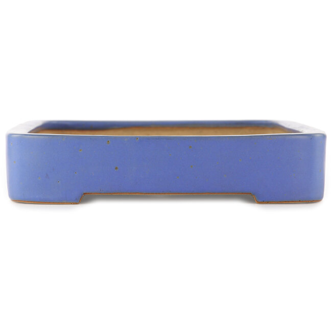 Pot à bonsaï rectangulaire bleu de Reiho - 480 x 315 x 60 mm