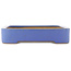 Maceta rectangular azul para bonsái de Reiho - 480 x 315 x 60 mm