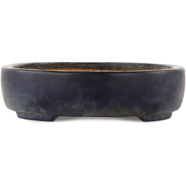 Maceta ovalada azul para bonsái de Hattori - 365 x 275 x 70 mm