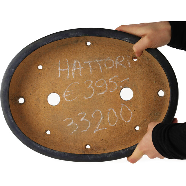 Maceta ovalada azul para bonsái de Hattori - 365 x 275 x 70 mm