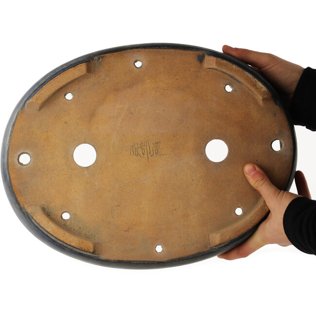 Ovaler blauer Bonsai-Topf von Hattori - 365 x 275 x 70 mm