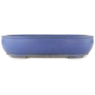 Reihou (Bonsai Matsushita Hiroyuki or Mr.MATSUSHITA Reiji    Master) 440 mm oval blue bonsai pot by Reiho, Tokoname, Japan