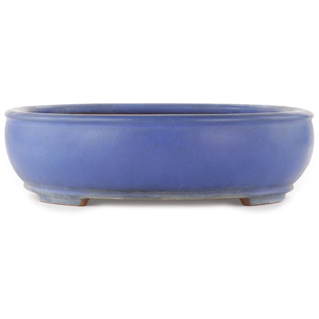Oval blue bonsai pot by Reiho - 440 x 350 x 90 mm