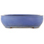 Oval blue bonsai pot by Reiho - 440 x 350 x 90 mm