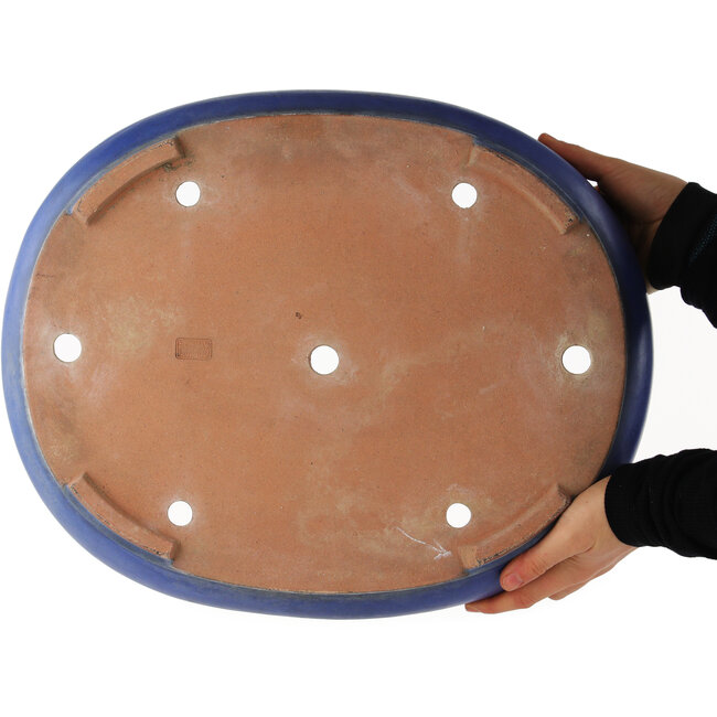 Maceta ovalada azul para bonsái de Reiho - 440 x 350 x 90 mm