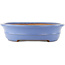 Pot à bonsaï ovale bleu de Yamafusa - 465 x 350 x 85 mm