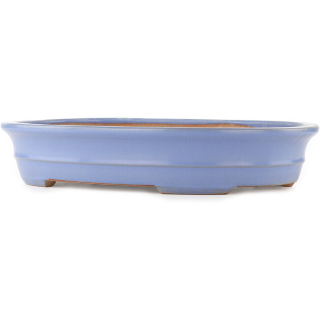 Vaso bonsai ovale blu di Yamafusa - 465 x 350 x 85 mm