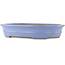 Pot à bonsaï ovale bleu de Yamafusa - 465 x 350 x 85 mm