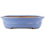 Pot à bonsaï ovale bleu de Yamafusa - 465 x 350 x 85 mm