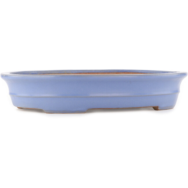 Maceta ovalada azul para bonsái de Yamafusa - 465 x 350 x 85 mm