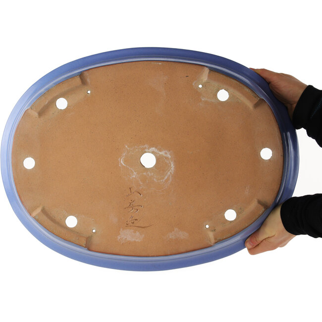 Maceta ovalada azul para bonsái de Yamafusa - 465 x 350 x 85 mm