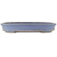 Pot à bonsaï ovale bleu de Yamafusa - 345 x 275 x 55 mm