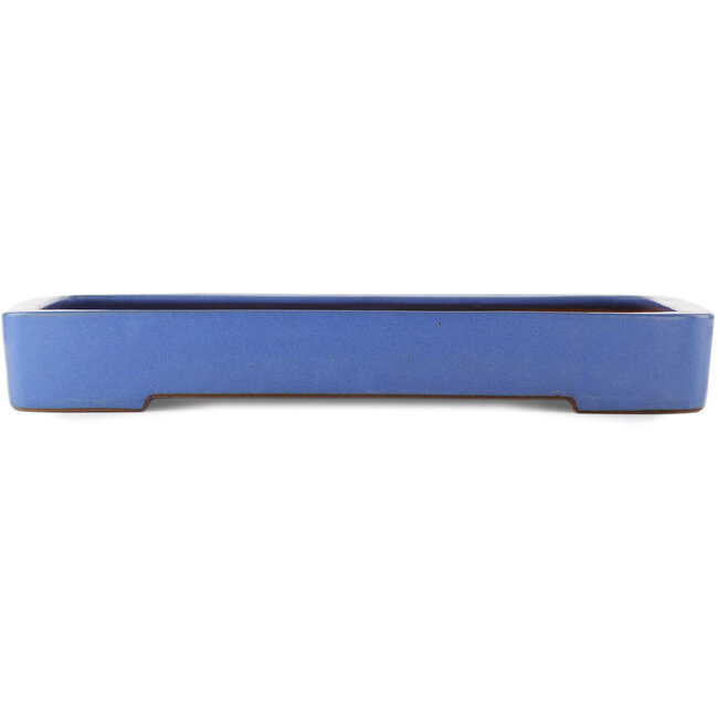 Pot à bonsaï rectangulaire bleu de Reiho - 475 x 315 x 55 mm