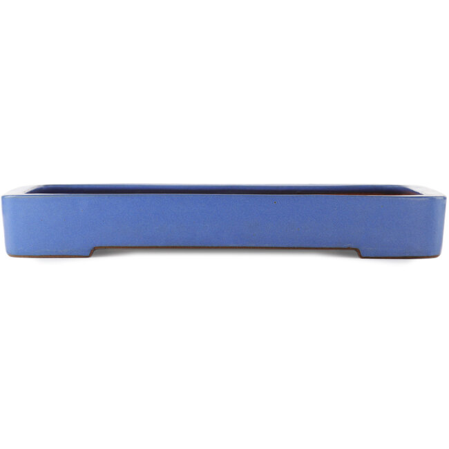 Rectangular blue bonsai pot by Reiho - 475 x 315 x 55 mm