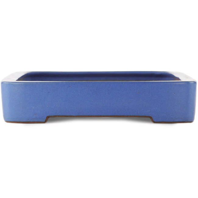 Vaso bonsai rettangolare blu di Reiho - 475 x 315 x 55 mm