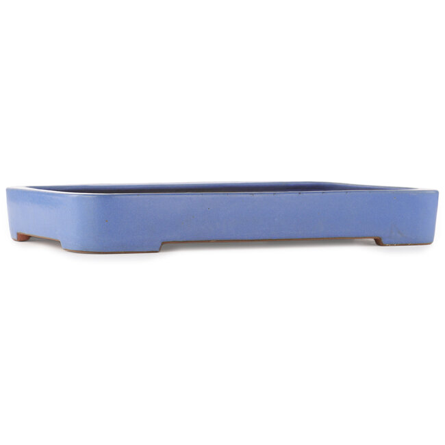 Pot à bonsaï rectangulaire bleu de Reiho - 475 x 315 x 55 mm