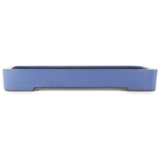Maceta rectangular azul para bonsái de Reiho - 475 x 315 x 55 mm