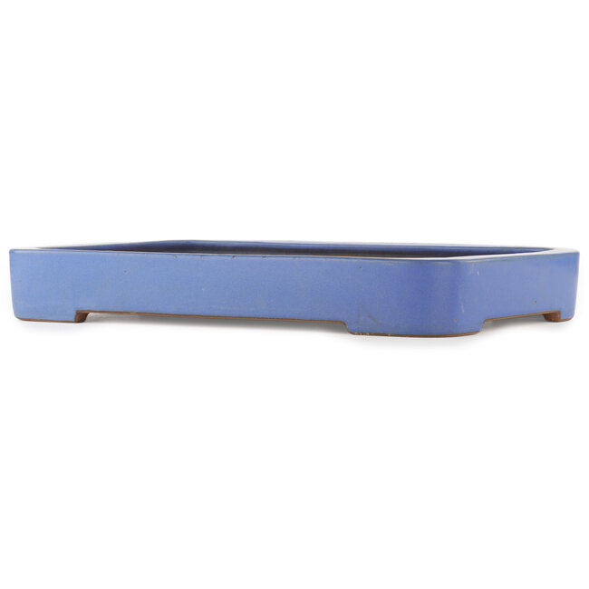 Maceta rectangular azul para bonsái de Reiho - 475 x 315 x 55 mm
