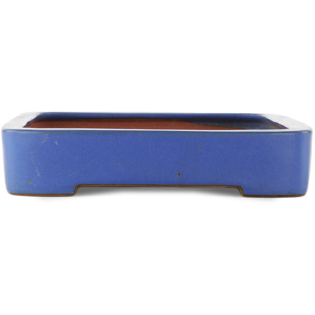 Rechteckiger blauer Bonsai-Topf von Reiho - 475 x 315 x 55 mm