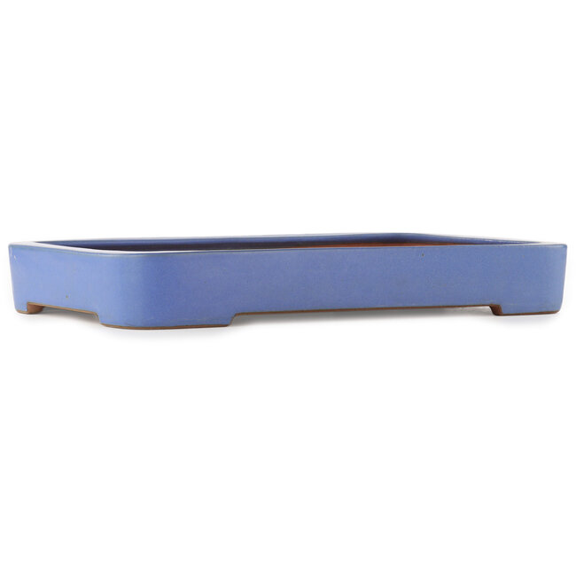 Maceta rectangular azul para bonsái de Reiho - 475 x 315 x 55 mm