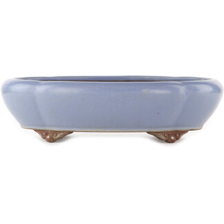  Yamaaki Pot à bonsaï ovale bleu de 335 mm par Yamaaki, Tokoname, Japon