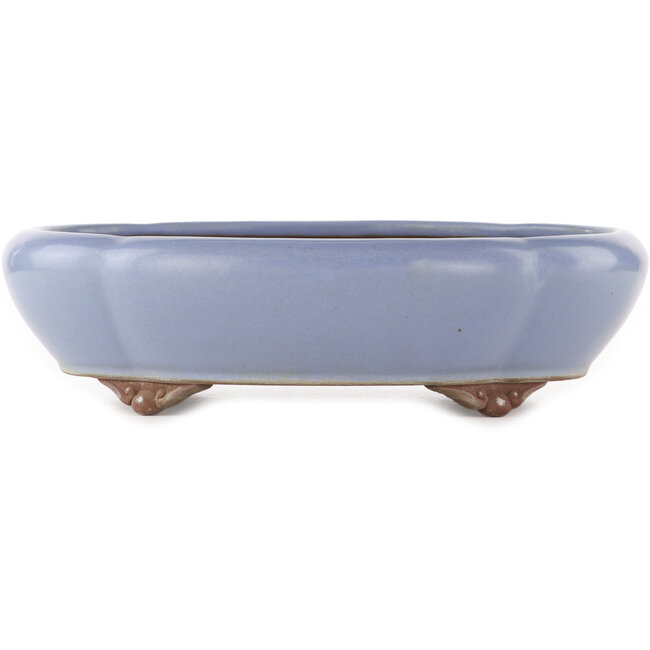 Ovale blauwe bonsai pot van Yamaaki - 335 x 290 x 90 mm