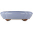 Oval blue bonsai pot by Yamaaki - 335 x 290 x 90 mm