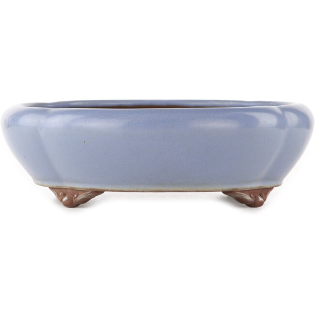 Vaso bonsai ovale blu di Yamaaki - 335 x 290 x 90 mm