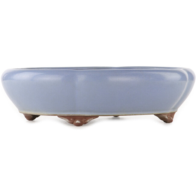 Vaso bonsai ovale blu di Yamaaki - 335 x 290 x 90 mm