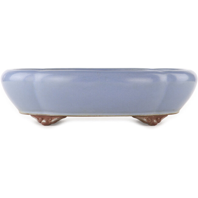 Oval blue bonsai pot by Yamaaki - 335 x 290 x 90 mm