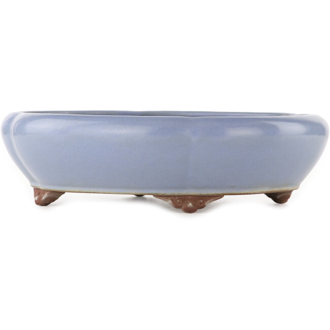 Vaso bonsai ovale blu di Yamaaki - 335 x 290 x 90 mm